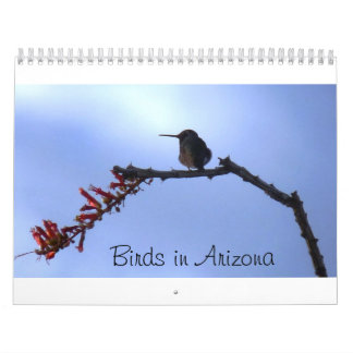 Calendrier Mural Oiseaux en Arizona