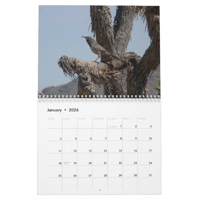 Calendrier Mural Oiseaux en Arizona (Jan 2026)