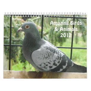 Calendrier Mural Oiseaux et Animaux Incroyables 2012