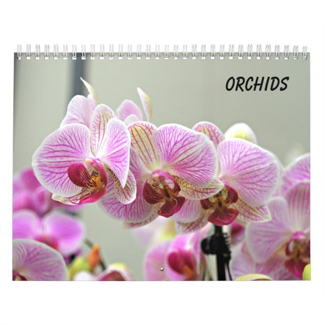 Calendrier Mural Orchidées (Protection)