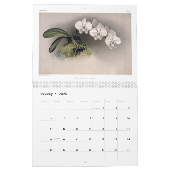 Calendrier Mural Orchidées 2015 de Reichenbachia (Jan 2026)