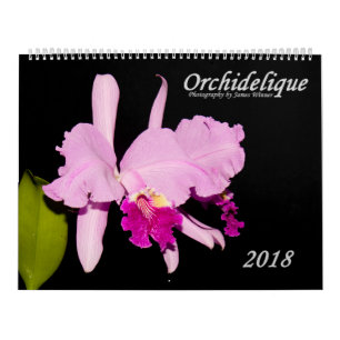 Calendrier Mural Orchidées par Orchidelique