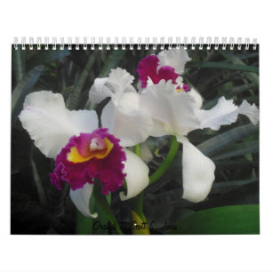 Calendrier Mural Orchidées par Scott S. Jones