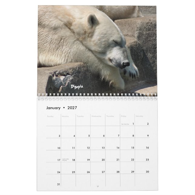 Calendrier Mural Ours blanc 2012 (Jan 2027)