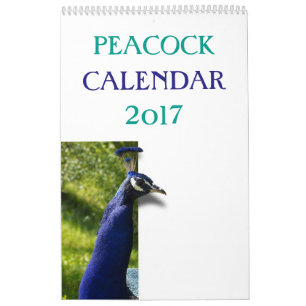 Calendrier Mural Paon coloré 2017