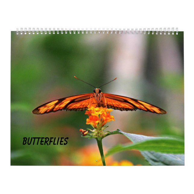 Calendrier Mural Papillons (Protection)