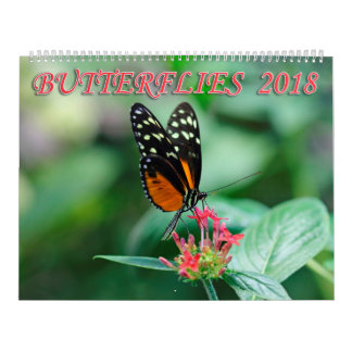 Calendrier Mural Papillons 2018