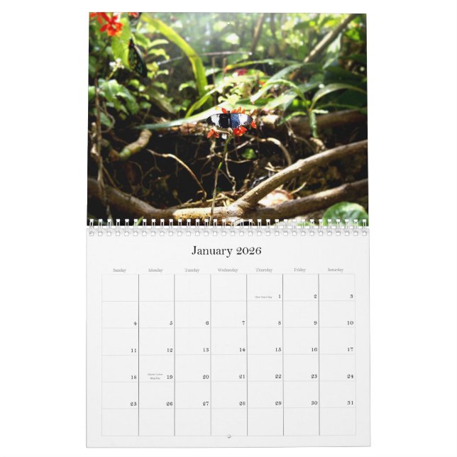 Calendrier Mural Papillons, abrégé d'A des papillons au CRNA… (Jan 2026)