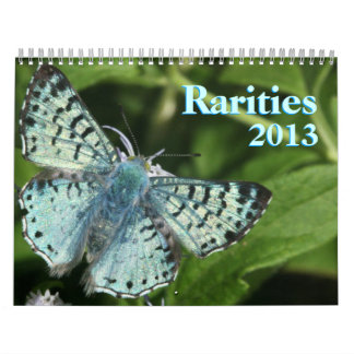 Calendrier Mural Papillons rares 2013
