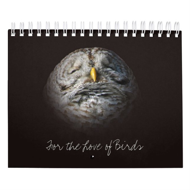 Calendrier Mural Photos d'art d'oiseaux et de hibou Ontario (Protection)