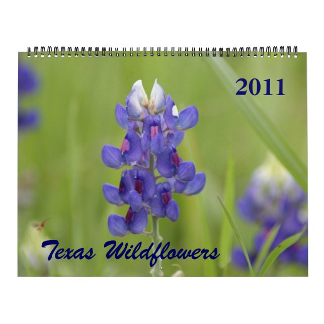 Calendrier Mural Photos de Fleurs sauvages de North Central Texas (Protection)
