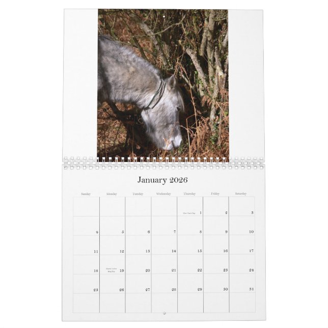 Calendrier Mural PICS aléatoire C de Ricks 2008… (Jan 2026)