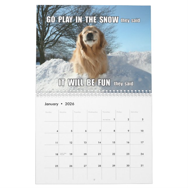 Calendrier Mural Plaisanteries d'Augie et de Ti et golden retriever (Jan 2026)