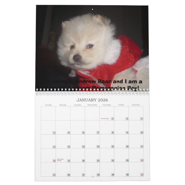 Calendrier Mural Pomeranian de Carma (Jan 2026)
