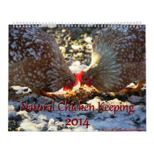 Calendrier Mural Poulet naturel gardant de 'l'atterrisseur de
