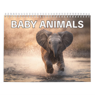 Calendrier mural pour les amoureux des animaux B