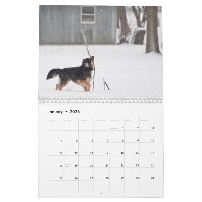 Calendrier Mural Poussiéreux et Polu 2011 (Jan 2026)