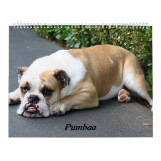 Calendrier Mural Pumbaa