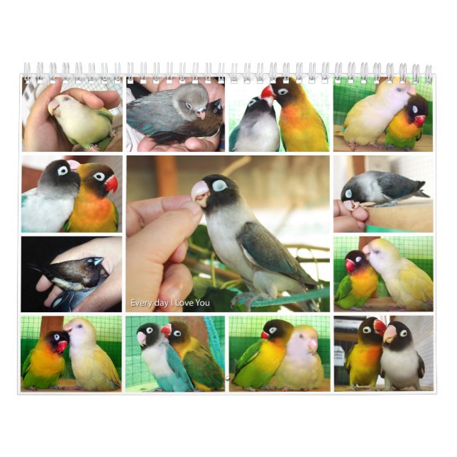 Calendrier Mural Quotidien je t'aime (Protection)