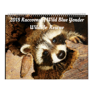 Calendrier Mural Raccoons de la Secourt faunique de 2018 de la rivi