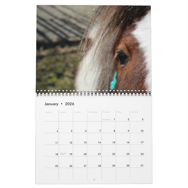 Calendrier Mural Ranch-Hordes d'edelweiss des chevaux ! (Jan 2026)