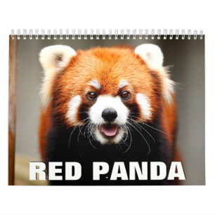 Calendrier mural Red Pandas 2022