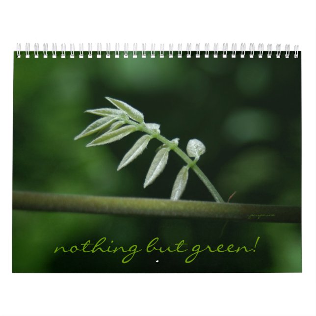 Calendrier Mural rien mais vert ! (Protection)