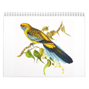 Calendrier Mural Rosella jaune