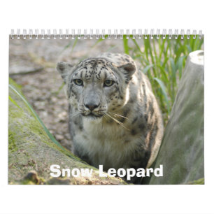 Calendrier Mural SnowLeopardBCR012, léopard de neige