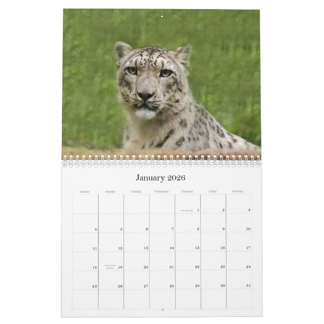 Calendrier Mural SnowLeopardBCR012, léopard de neige (Jan 2026)