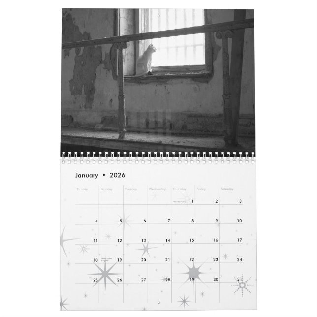 Calendrier Mural Soleil, bonheur et amour pour 2008 (Jan 2026)