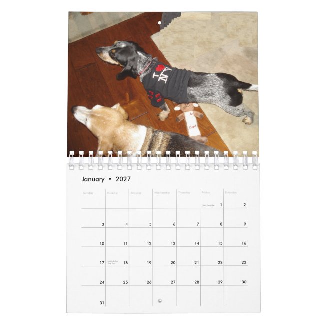 Calendrier Mural Stormi 2012 (Jan 2027)