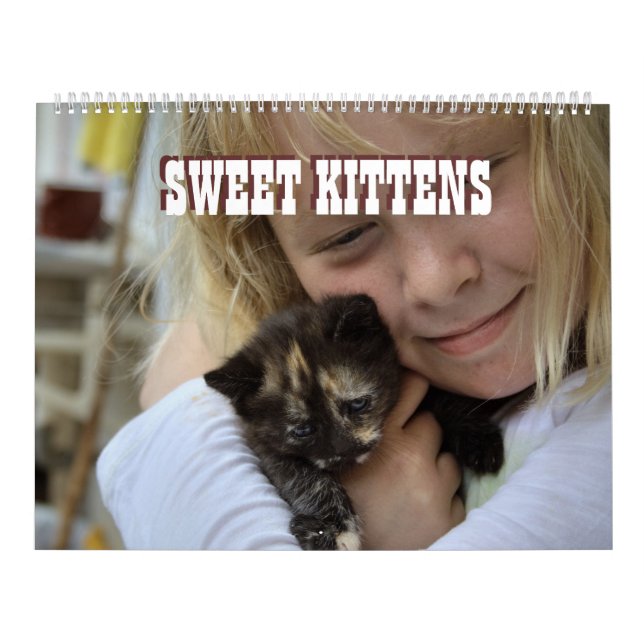 Calendrier Mural Sweet Kittens 2024 Katzen Kalender (Protection)