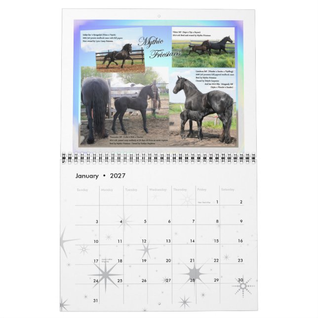 Calendrier Mural Taille standard de photo frisonne de cheval (Jan 2027)