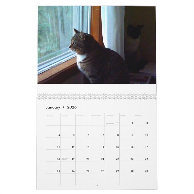 Calendrier Mural Tommy le chat tigré (Jan 2026)