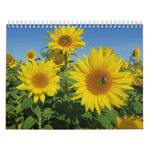 Calendrier Mural tournesol en bleu ciel coloré fleur d'été