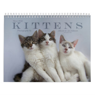 Calendrier Mural Trois chatons sauvages