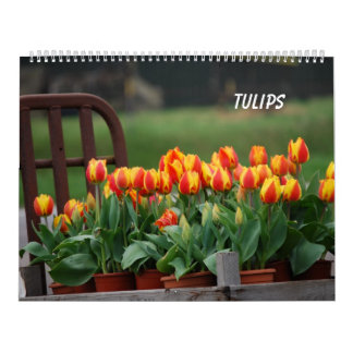 Calendrier Mural Tulipes