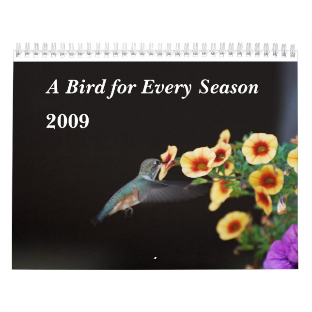 Calendrier Mural Un oiseau pour chaque saison (Protection)