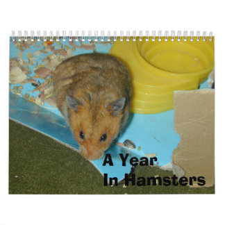 Calendrier Mural Une année chez les hamsters 2010
