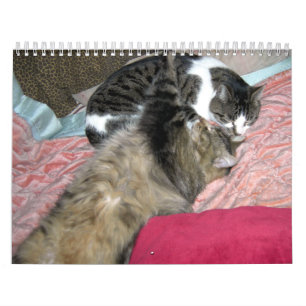 Calendrier Mural Une année de chats chatons