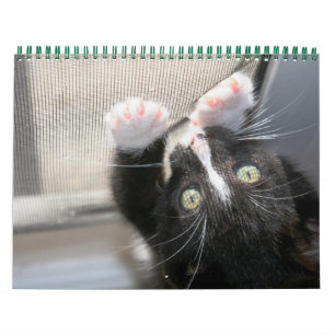 Calendrier Mural Une année de fuzzybutts