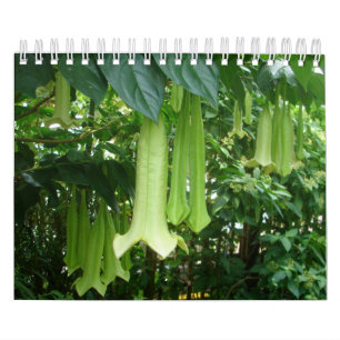 Calendrier Mural Usines tropicales de forêt tropicale