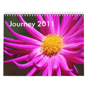 Calendrier Mural Voyage 2011
