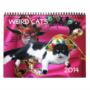 CALENDRIER MURAL WEIRD CATS 2014
