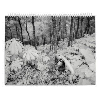 Calendrier Mural Whitewater 2016