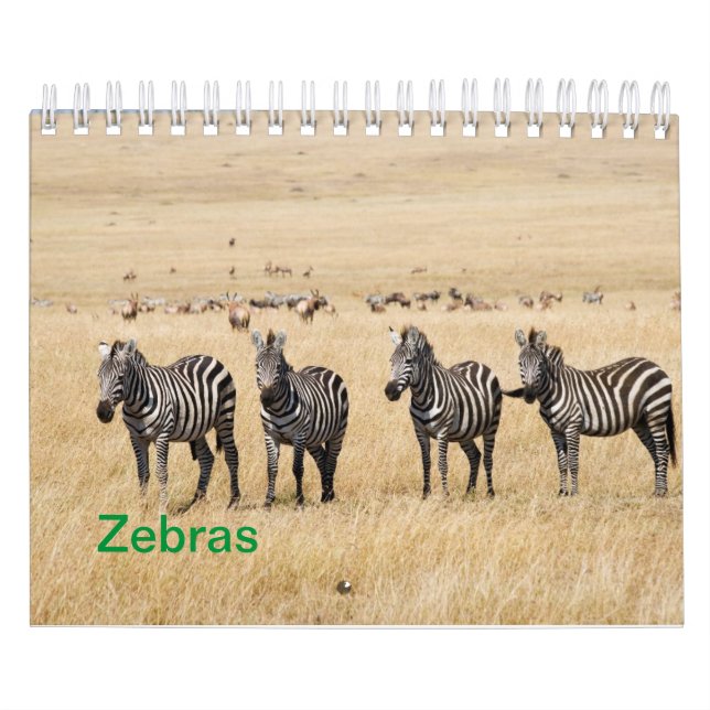 Calendrier mural Zebra (Protection)