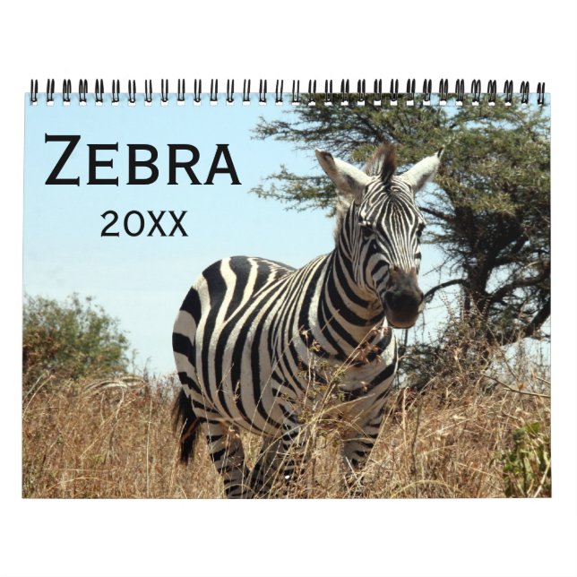 Calendrier Mural zèbre 2026 (Protection)