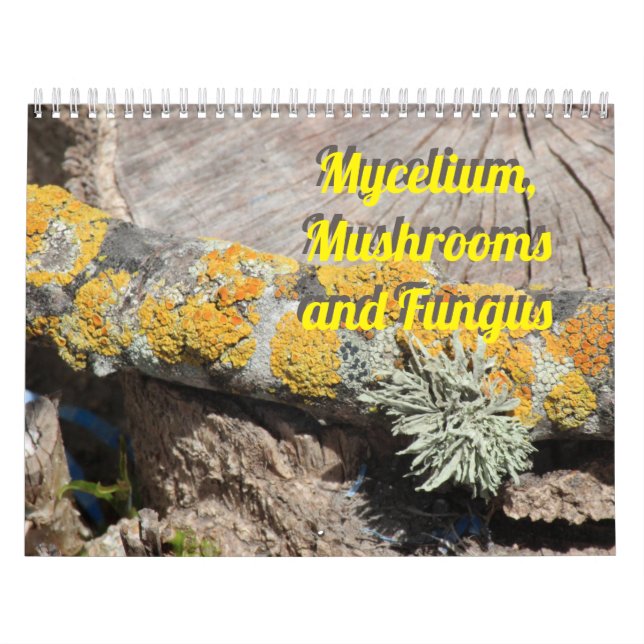 Calendrier Mycelium, Mushrooms and Fungus (Protection)