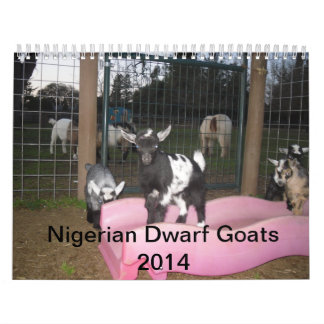 calendrier nain nigérien de la chèvre 2014